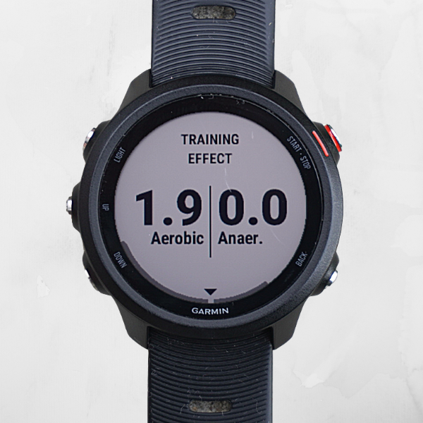 GPS Watch Estimated Training Loads
