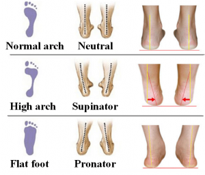 Best Running Shoes For Underpronation Compared 2023 - The Ultimate Primate